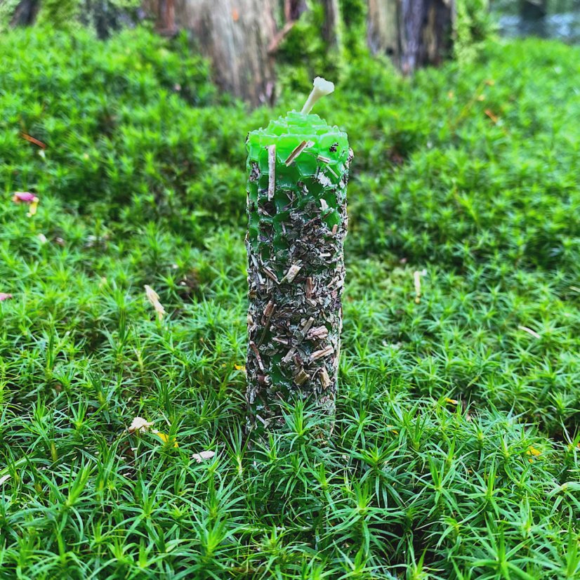 Světle zelený válec s meduňkou