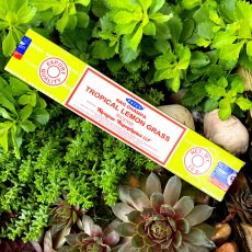 Tyčinky tropická citronová tráva