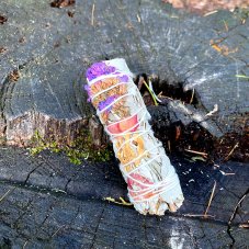 Svazek Šalvěj šťastný duch