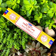 Tyčinky strom života