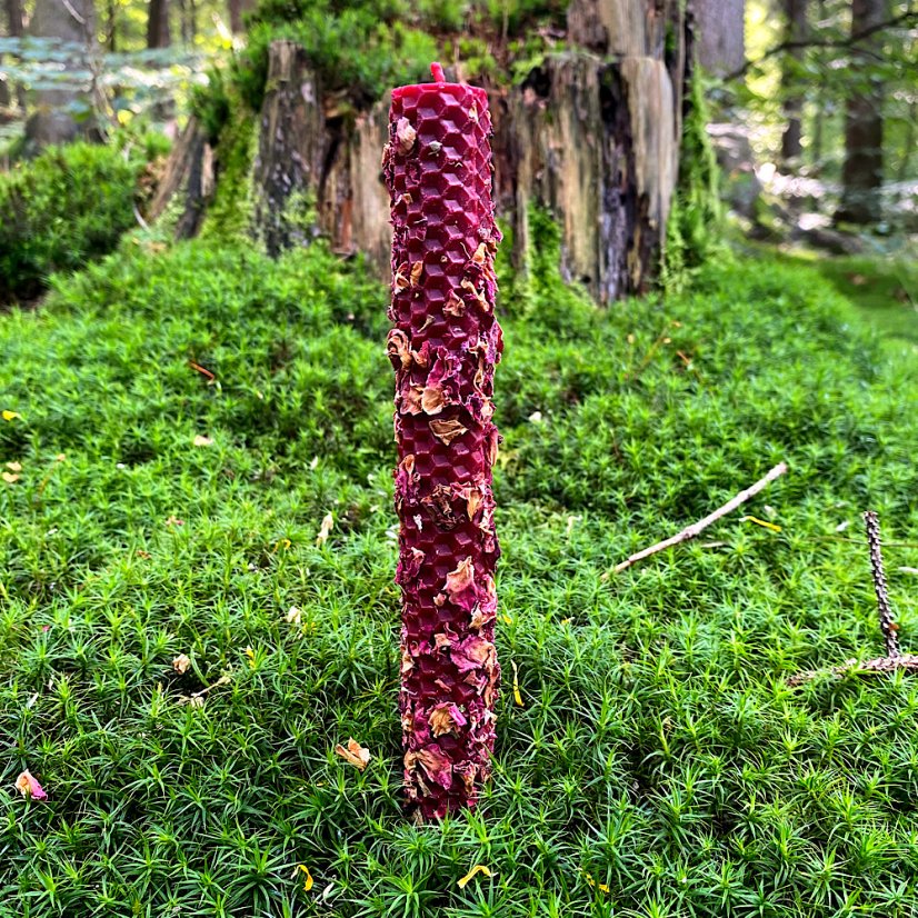 Tmavě červený válec s růží - Rozměry: 9,5 x 2 cm