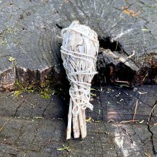 Svazek Šalvěj bílá