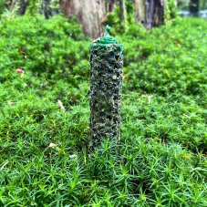 Tmavě zelený válec s mátou