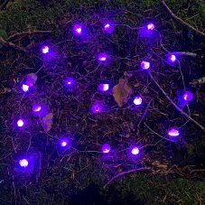 Světelný řetěz Ametyst