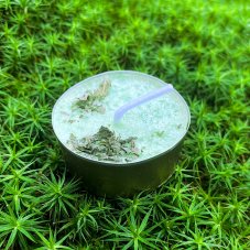 Šamanovo zdraví a úspěch