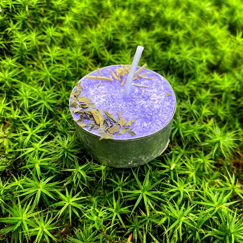 Šamanova spiritualita