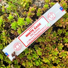 Tyčinky bílá šalvěj