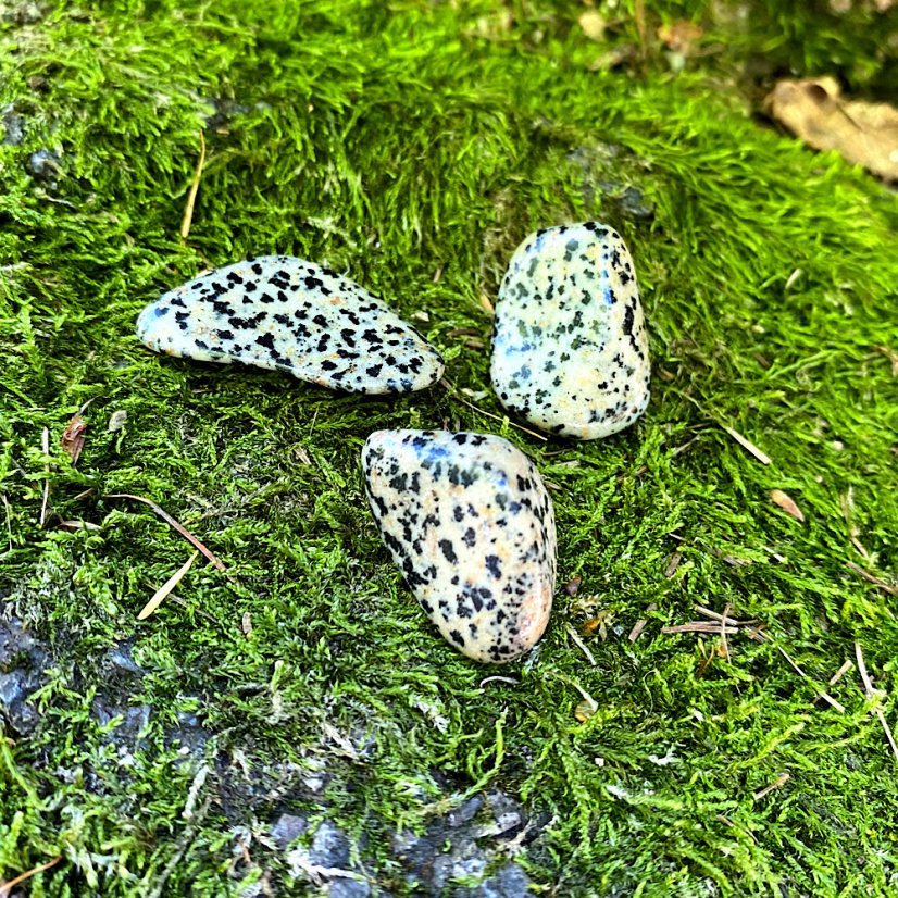 Dalmatin jaspis tromlovaný