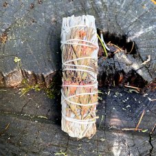 Svazek Šalvěj klidná aura