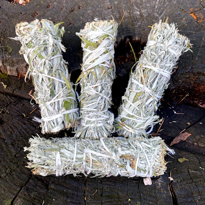 Svazek Pelyněk - Velikost: Velký