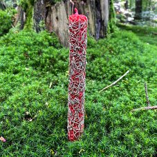 Světle červený válec s rozmarýnem