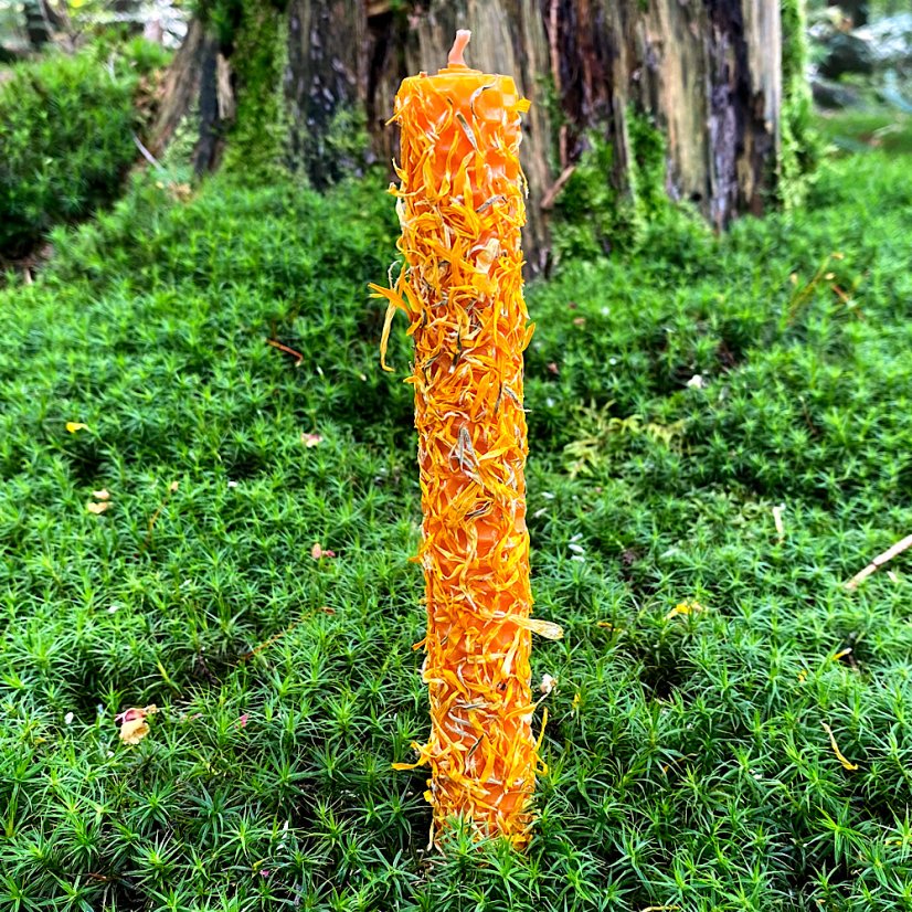 Oranžový válec s měsíčkem - Rozměry: 18,5 x 2 cm