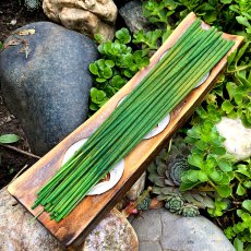 Tyčinky bazalka Tulsi (posvátná)