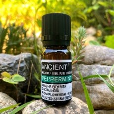 Esenciální olej Máta peprná