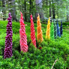 Velká sada špiček