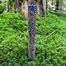 Modrý válec s tymiánem