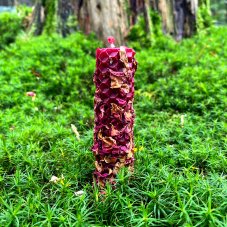 Tmavě červený válec s růží