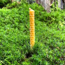 Malý válec (průměr 1 cm)