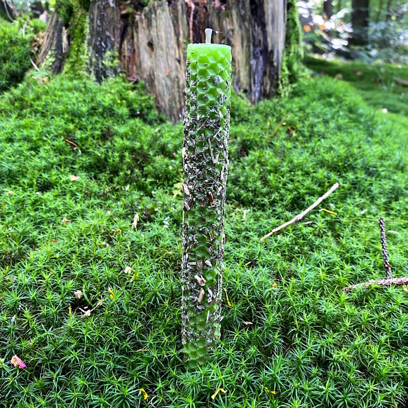 Světle zelený válec s meduňkou