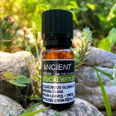 Esenciální olej Eukalyptus