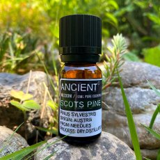 Esenciální olej Borovice lesní