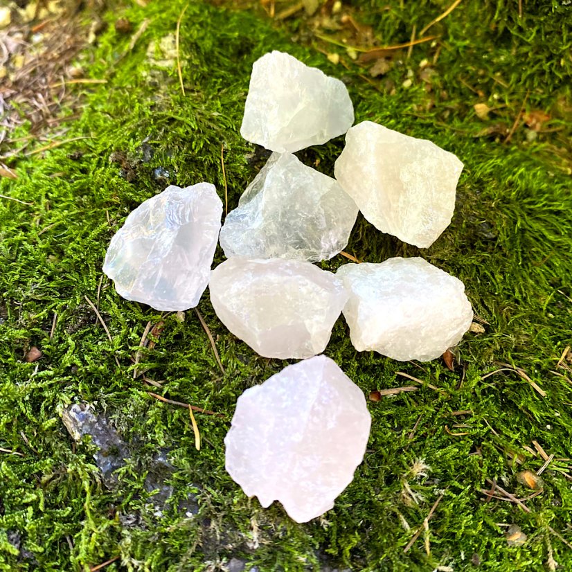 Růženín surový - Velikost: M