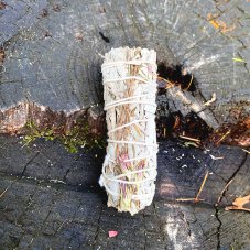 Svazek Šalvěj Duchovní očista