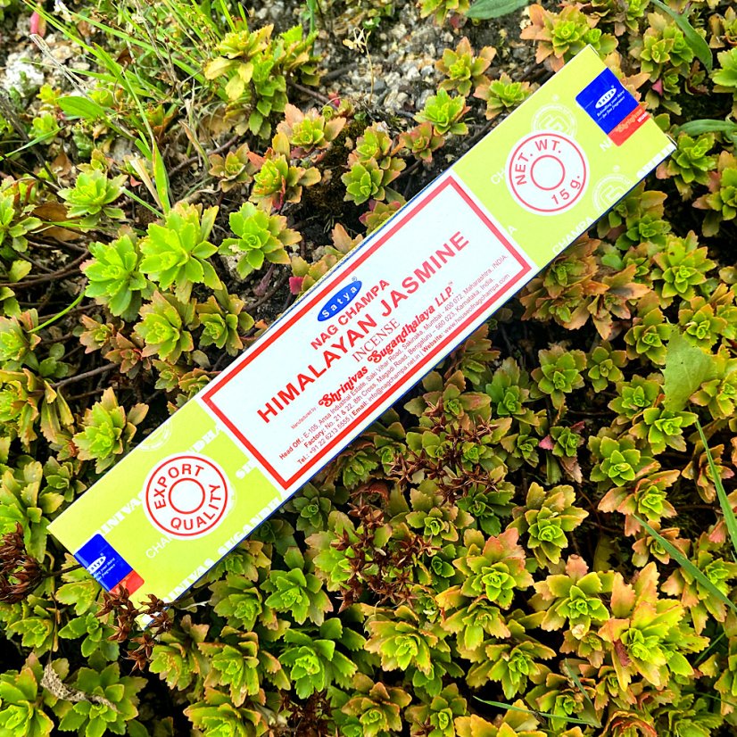 Tyčinky himalájský jasmín