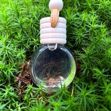 Esenciální difuzér Zimní procházka