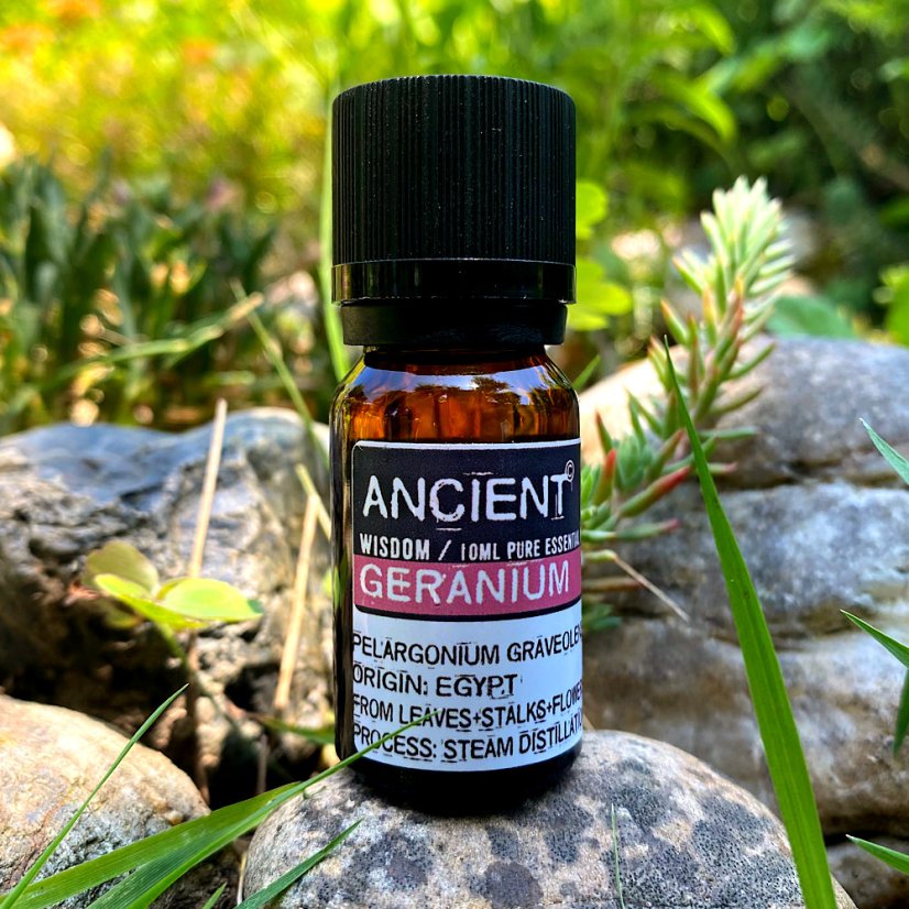 Esenciální olej Geranium (pelargonie)