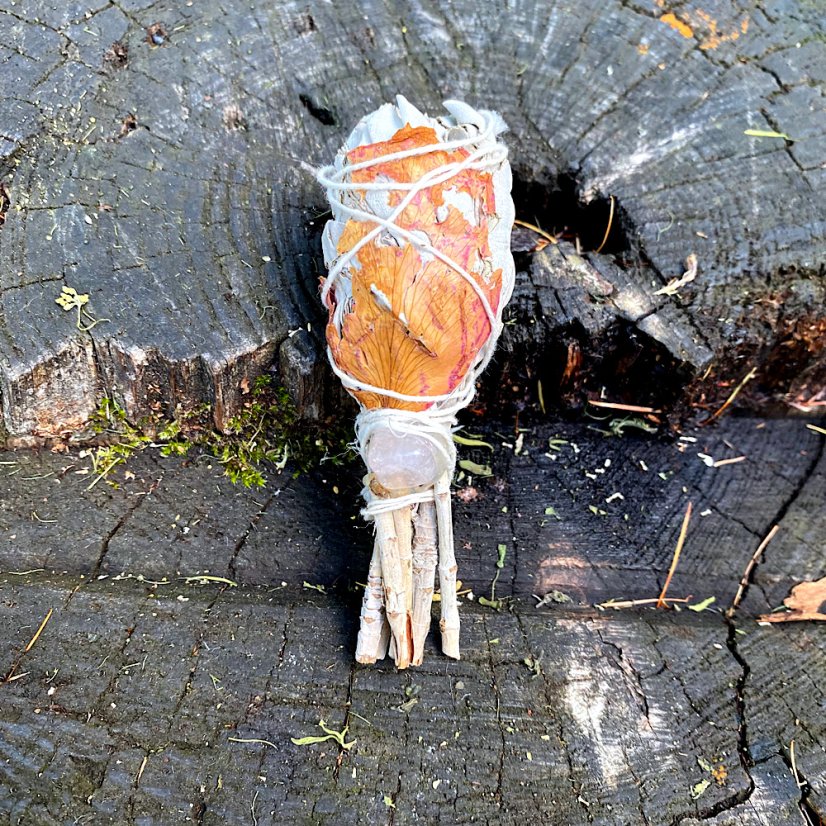 Pochodeň - Šalvěj spirituální láska