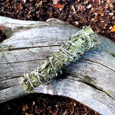 Svazek Šanta kočičí