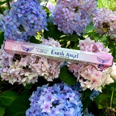 Tyčinky zemský anděl