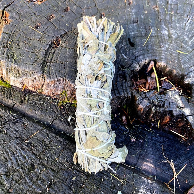 Svazek Šalvěj lékařská