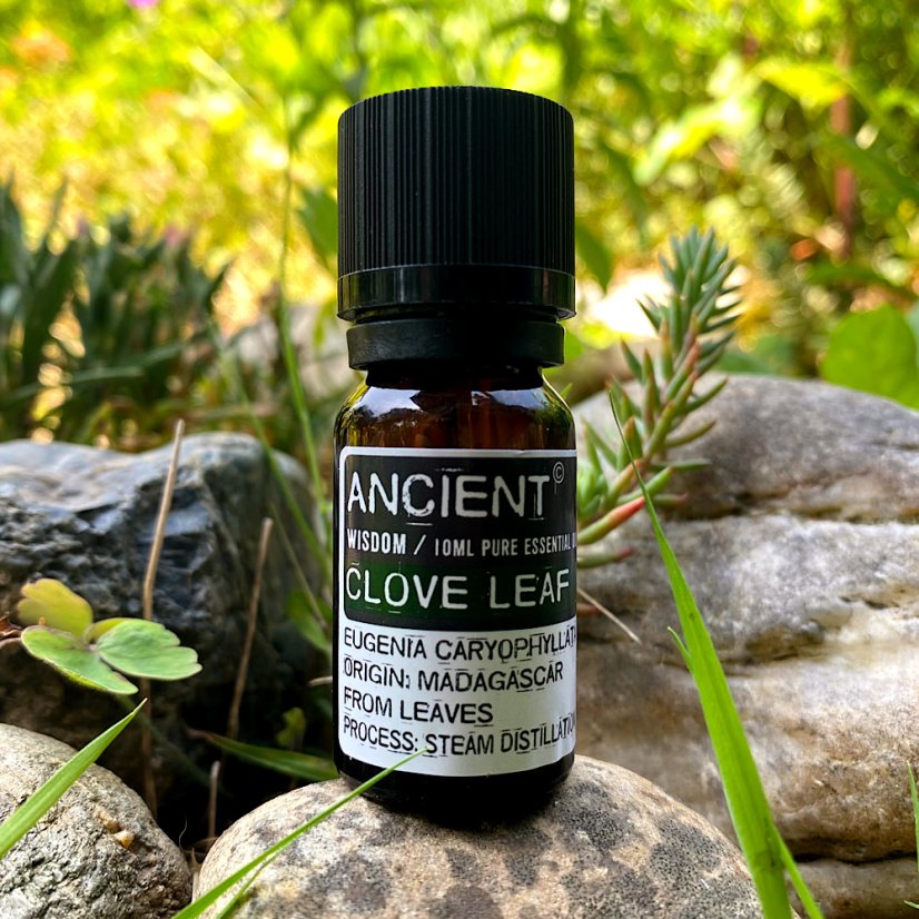 Esenciální olej Hřebíček