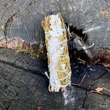 Svazek Šalvěj a jalovec