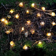 Světelný řetěz Citrín