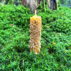 Žlutý válec s heřmánkem