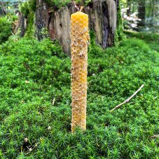 Žlutý válec s heřmánkem