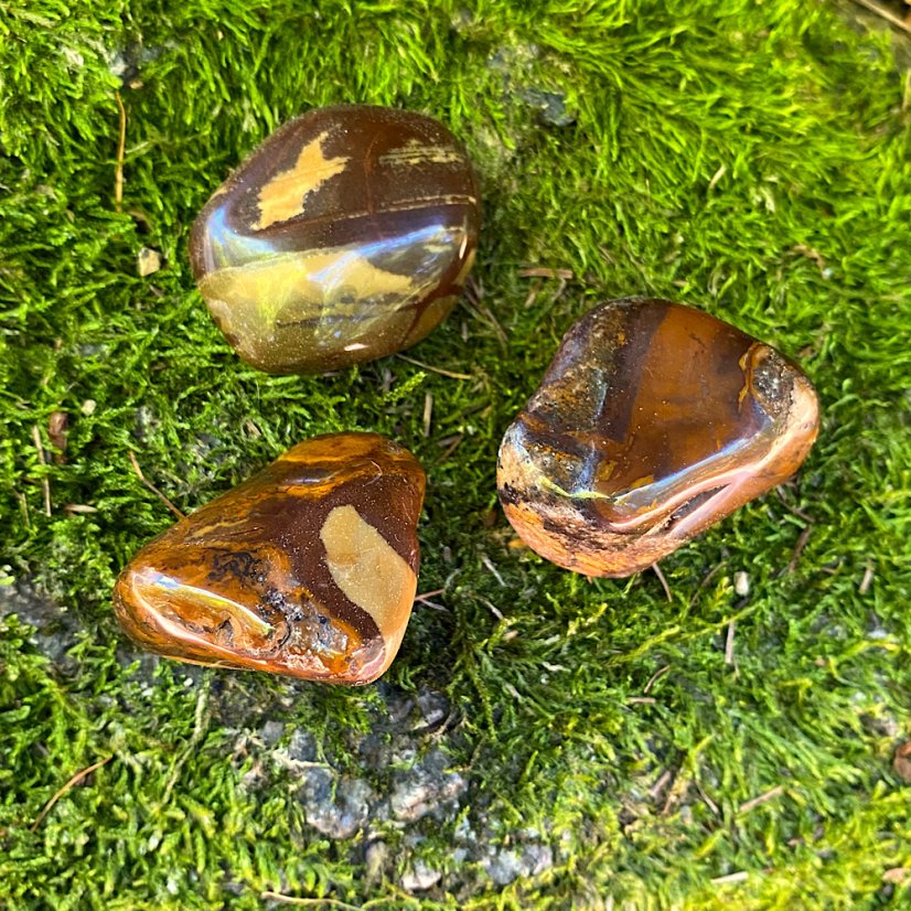 Jaspis nguni Tromlovaný - Velikost: L